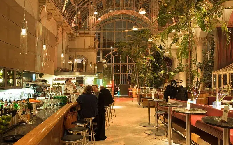 Dining in Vienna